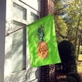 thumbnail image 2 of Carolines Treasures BB8190CHF Pineapple Green Polkadot Flag Canvas House Size  Large multicolor, 2 of 4
