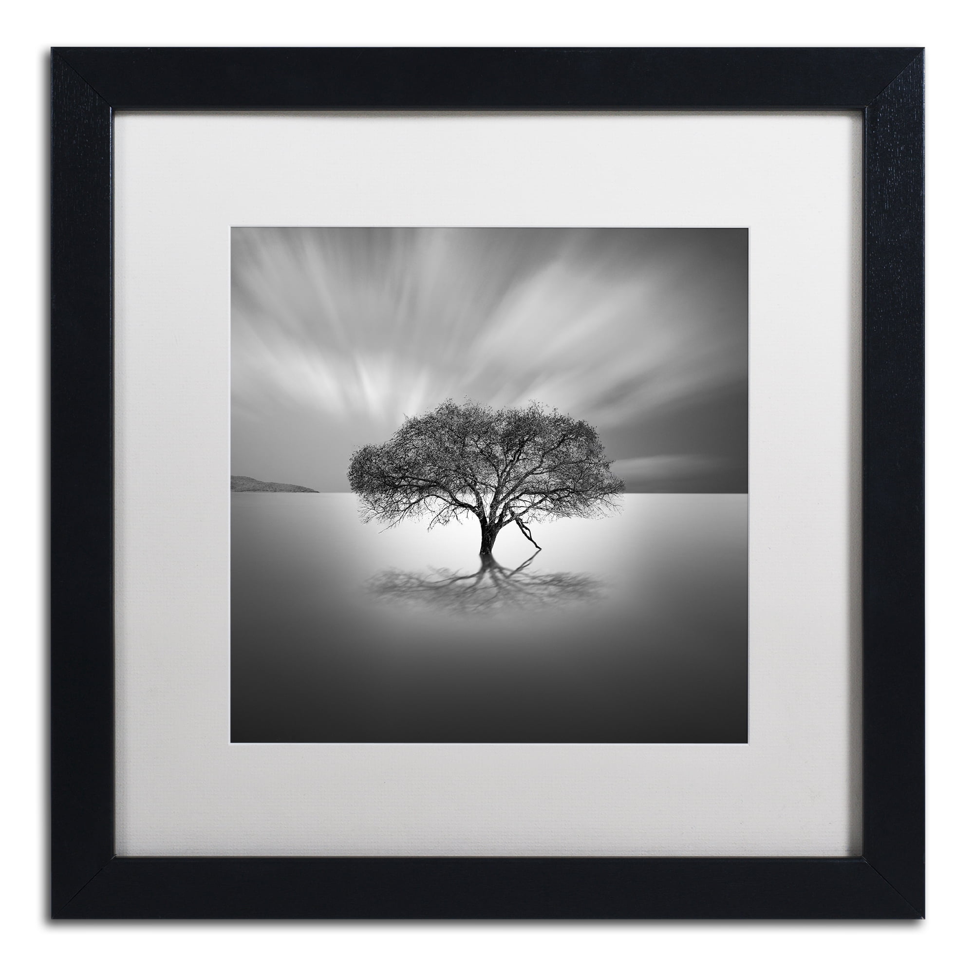 Trademark Fine Art "Water Tree VIII" Canvas Art by Moises Levy White Matte, Black Frame