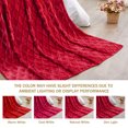 thumbnail image 5 of Exclusivo Mezcla Large Soft Throw Blanket for Couch, 50x70 Inches Diamond Geometry Pattern Velvet Fleece Blanket, Cozy, Warm and Lightweight Burgundy Blanket, 5 of 7