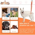 thumbnail image 5 of (Naranja) Arnés de soporte para perros para patas traseras Eslinga de elevación trasera para perros con asa y correa para el hombro Soporte para patas traseras para movilidad de mascotas, 5 of 5