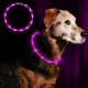 thumbnail image 1 of Collar con luz LED para perros, recargable por USB, collar de seguridad para mascotas de longitud ajustable para perros y gatos, 1 of 5