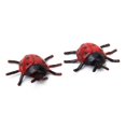 thumbnail image 3 of Juguete de Mariquita Sunnimix 2 piezas negro y rojo, 3 of 8