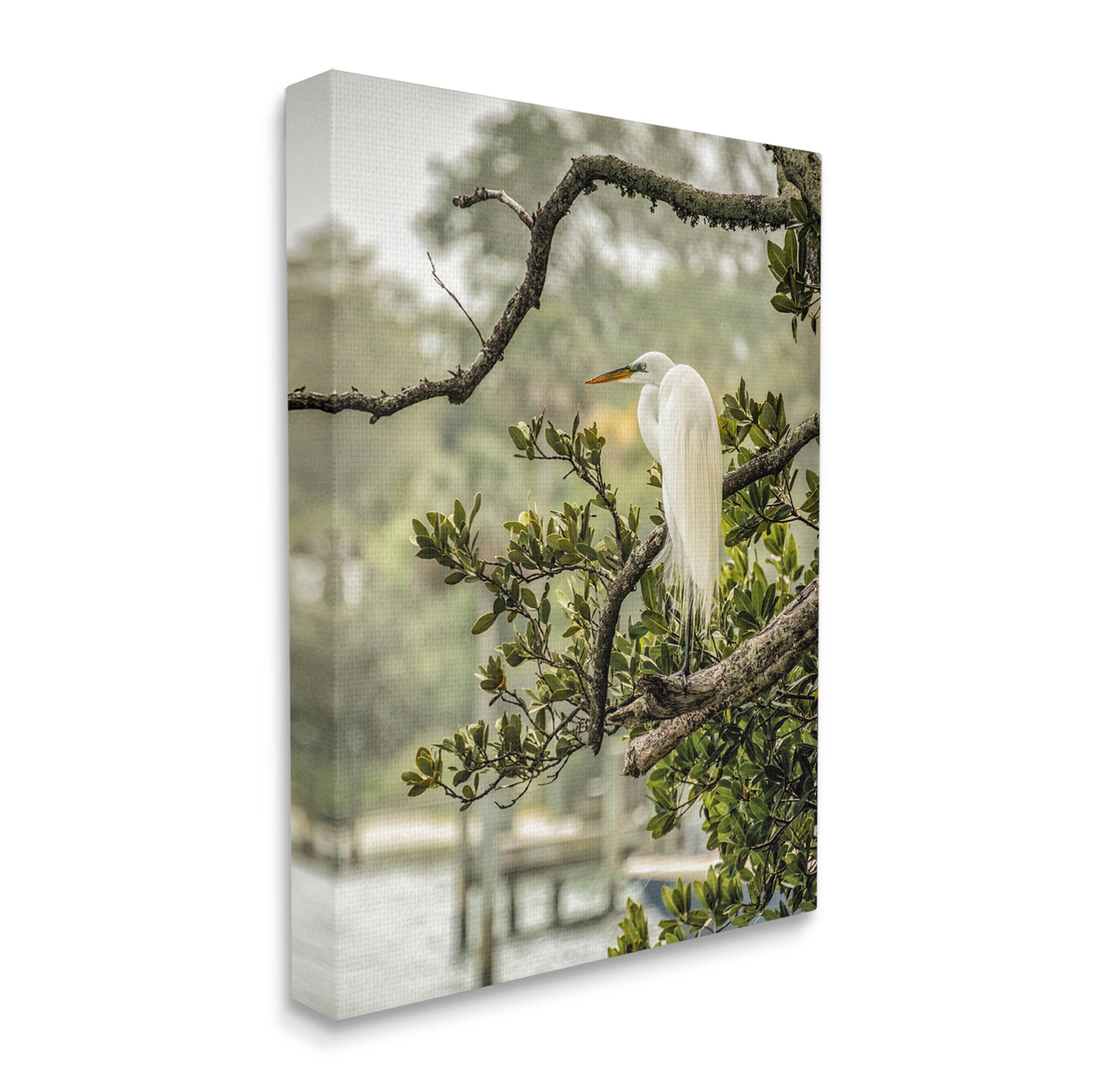 Stupell Industries Elegant Bird Perched Lakeside Tree Photograph Gallery Wrapped Canvas Print Wall Art, Design by Mary Lou Photography