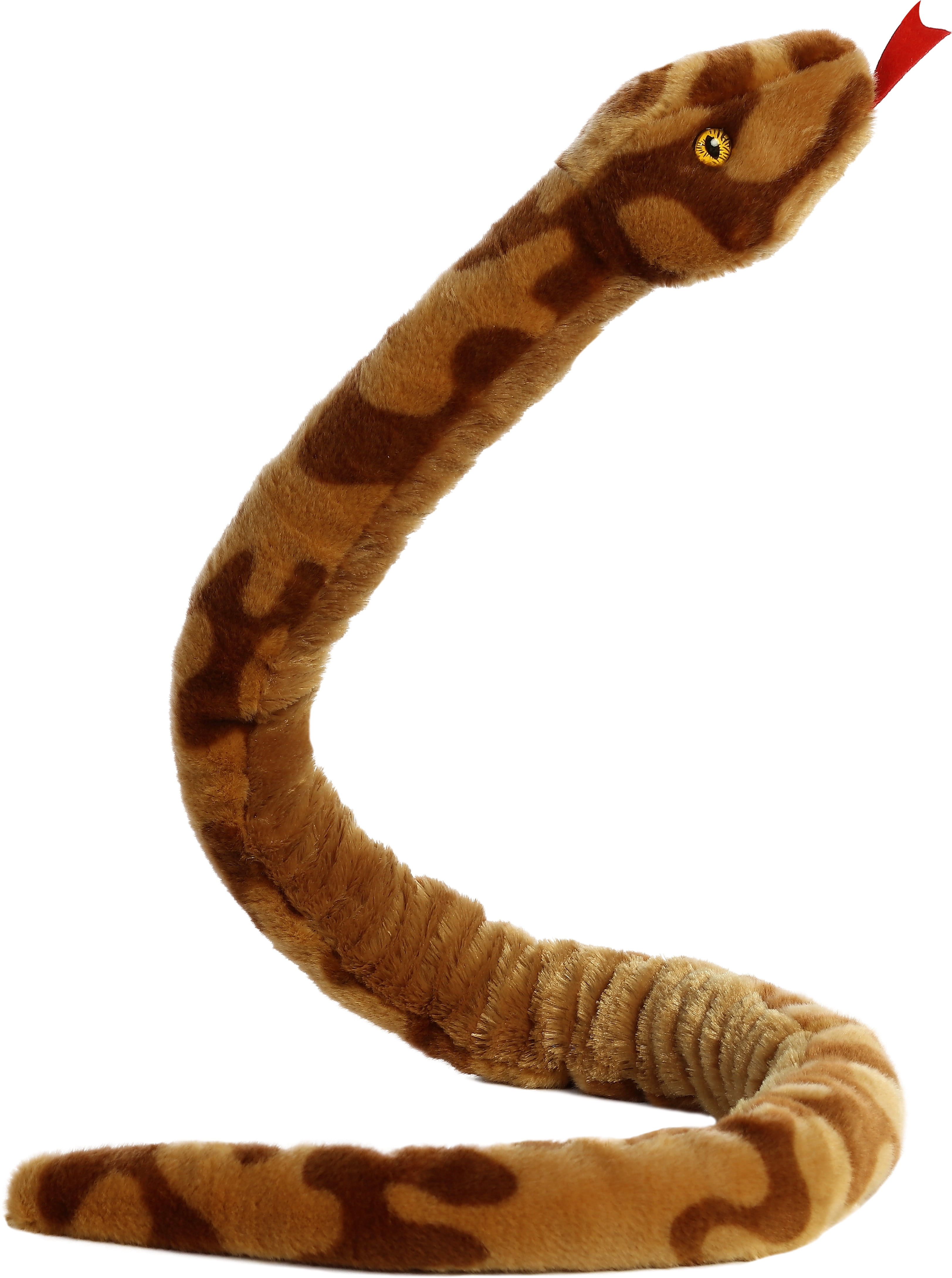 boa constrictor starter kit