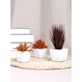 thumbnail image 2 of 3pcs/set mini potted plant combination-suitable for shop. Living Room bedroom bathroom tabletop decoration, 2 of 4