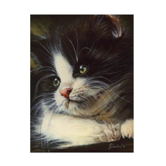 Trademark Fine Art 'Precious Moment' Canvas Art by Jenny Newland