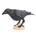 thumbnail image 4 of yuksok 2X Miniature Parrot Educational Realistic Raven Bird Figurines Party Decoration, 4 of 9