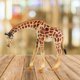 thumbnail image 5 of Gwong Juguete Miniatura Giraffe Funny Good Hand Feel Educational Wild Animal Mini Giraffe Modelo para niños Gwong 30010540, 5 of 6