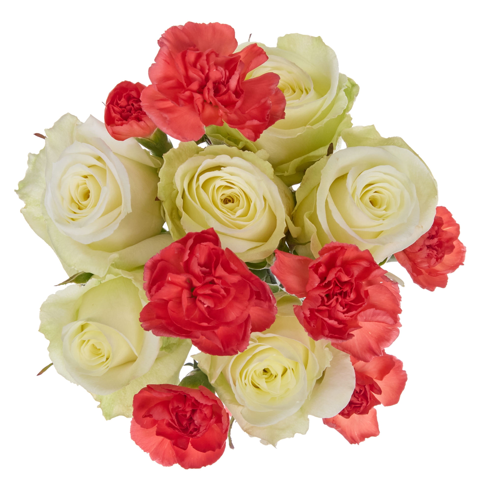 Rose Plus Flower Bouquet 6 Stem, Colors May Vary