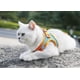 thumbnail image 4 of Chaleco naranja (S) para mascotas, con cuerda de tracción, arnés de pecho para gatos y perros, transpirable y reflectante., 4 of 5