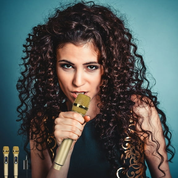 Microphone, Wireless Microphone Household Karaoke 2 Pack Outdoor Audio TV Singing KTV Karaoke Meeting Performance Microphone