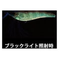 thumbnail image 3 of Yo-Zuri Fishing Lure R1162HRT Crystal 3D Shrimp Mylar Tinsel Tail 3 1/2" 7/16 oz, 3 of 5