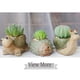 thumbnail image 4 of Macetas de plantas suculentas de animales, macetas de tortugas pequeñas, mini contenedores de plantas florales, decoración de animales, 4 of 5