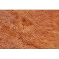 thumbnail image 4 of Feizy Bartlett Transitional Animal Print, Brown, Large Shaped Rug Easy Care Kid Friendly Sheen Cabin & Lodge Design Carpet for Living Dining Bed Room, 4 of 5