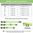 thumbnail image 5 of MASBRILL Glowing LED Dog Collar, Night Walking Light Dog Collar, Waterproof and USB Rechargeable for Small Medium Large Dogs Flashing Collar Green-XS, 5 of 7