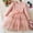 Pink#2, variant on IVEYRTF Girls Long Sleeve Princess Dress Ruffled Lace Embroidery Mesh Skirt Round Neck Dresses for Fall Spring Daily Wear Travel Holiday Birthday Party Outfit(Wine,9 Months)