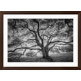 thumbnail image 2 of Art.com Majestic Old Oak, Black and White, Petaluma Northern California Photographic Print by Vincent James, Brown Frame Wall Art, 44" x 32", 2 of 5