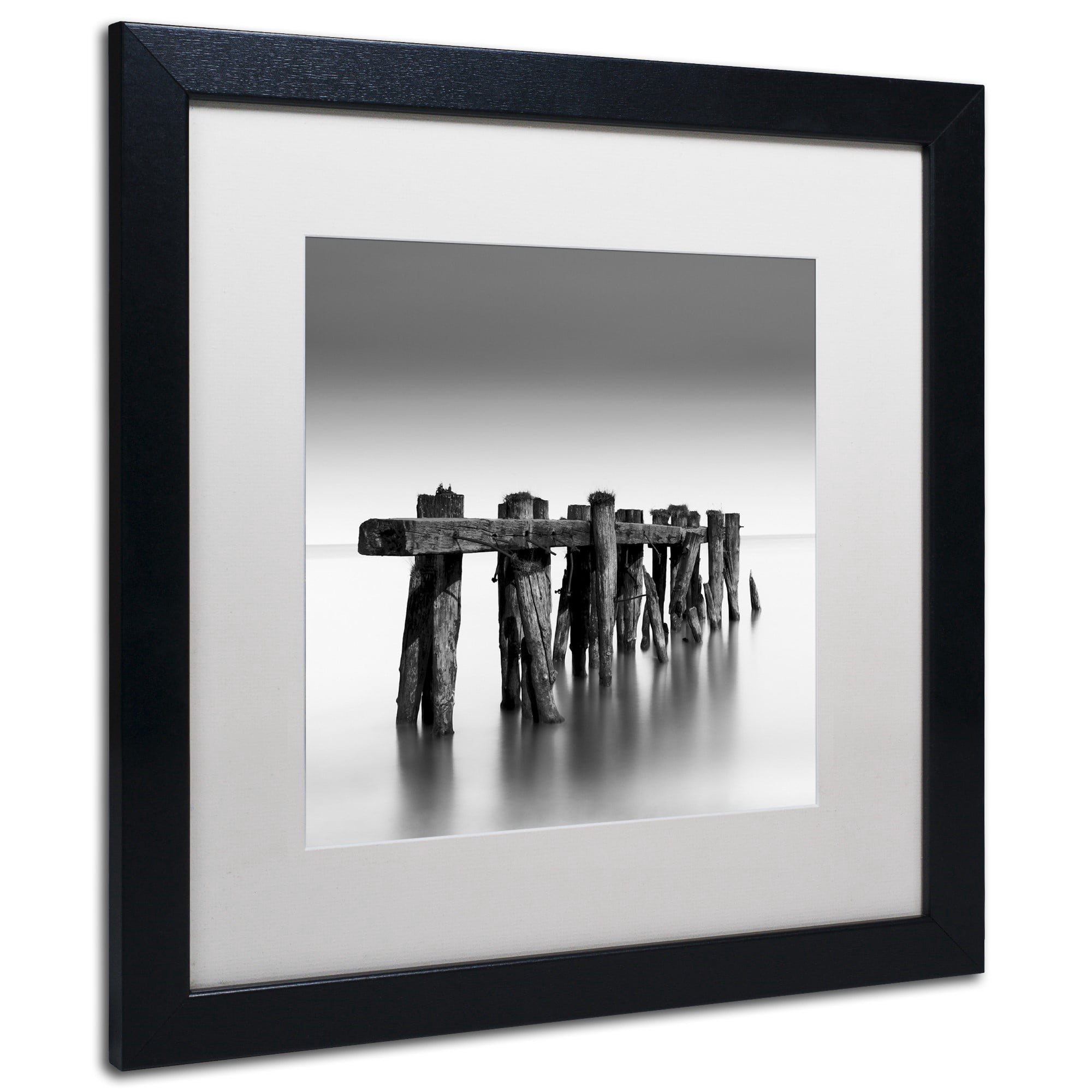 Trademark Fine Art "Weathered" Canvas Art by Dave MacVicar, White Matte, Black Frame