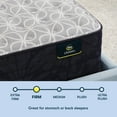 Serta Classic Clarks Hill Elite LTD 13" Firm Mattress King Innerspring; FiberglassFree