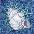 thumbnail image 2 of Gango Home Decor Coastal Silverplate Shells III & IV by Paul Brent (Ready to Hang); Two 12x12in White Framed Prints, 2 of 5