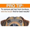 thumbnail image 2 of Pet Fur And Lint Remover For Furniture, Car Interiors, Rugs, Carpets, 2 of 5