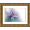 thumbnail image 1 of Nan, Juliana 32x23 Gold Ornate Wood Framed with Double Matting Museum Art Print Titled - Beyond, 1 of 4