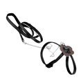 thumbnail image 4 of Lizard Leash, Durable Portable Reptile Traction Rope  For Reptiles Outdoor Carrying Walking, 4 of 8