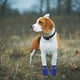 thumbnail image 2 of 4 piezas de botas impermeables antideslizantes para perros Botines para mascotas de todas las estaciones para perros pequeños a medianos talla XL (azul), 2 of 6