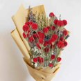 thumbnail image 3 of piezas de flores secas, flores artificiales decorativas, bolas de botón Billy naturales de Craspedia navideña para florero, boda, hogar, fiesta, fotografía, arreglo floral, rojo, 3 of 6