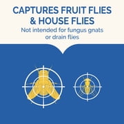 Hot Shot Flying Insect Trap, Captures Fruit & House Flies, 2 Count