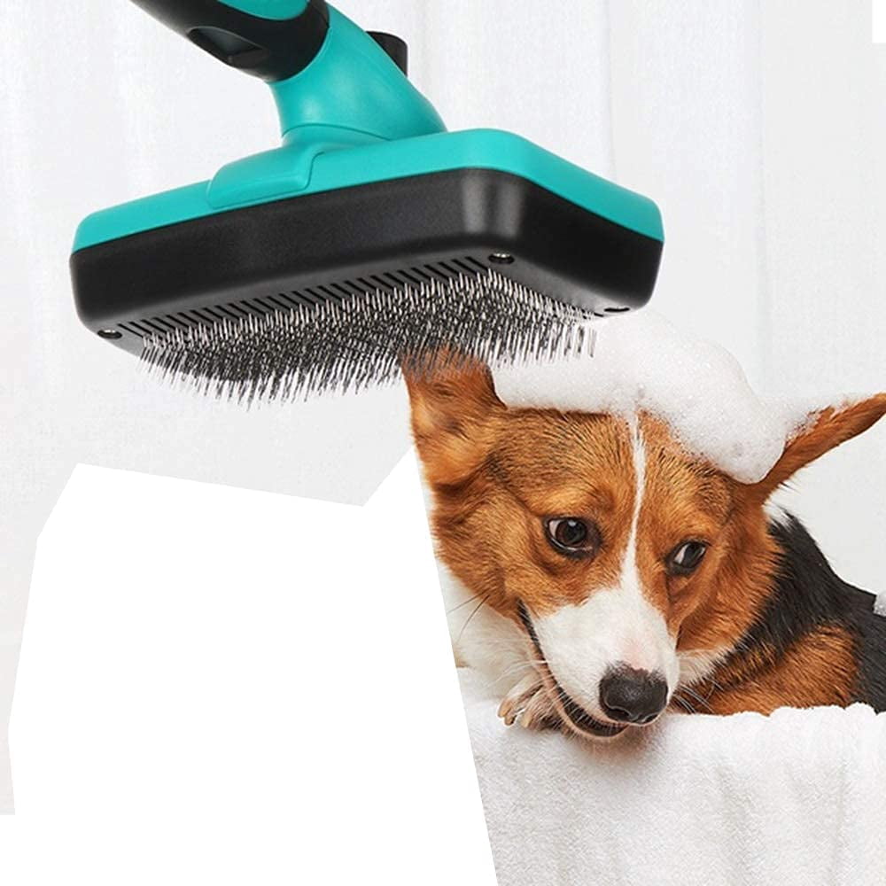 Dog Car Wash Brush Customer Satisfaction Is Our Ultimate Goal Hence