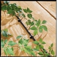 thumbnail image 2 of Orbit Irrigation Products 7825862 0.25 in. Tubing Strap, Pack of 20, 2 of 2