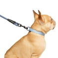 thumbnail image 4 of One Paw, Dog 3-Pack Collar Leash Set, With Bag Dispenser, Multiple Colors and Sizes, 4 of 5