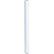 Epson S041220 Presentation Matte Paper, 44" x 82 ft, White