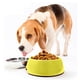 thumbnail image 4 of Cuenco para perros de acero inoxidable para mascotas, cuenco para gatos de melamina de doble capa, cuenco para mascotas de gran tamaño (para 15 gatos), 4 of 5