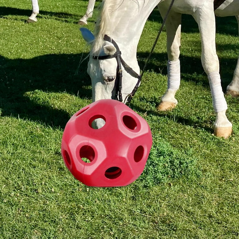 Carrot ball for sales horses