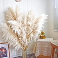 thumbnail image 3 of 38'' Tall Artificial Pampas Grass - 20 Stems Large Fluffy Faux Plumes for Tall Floor Vase, Minimalist Boho Home Decor for Living Room & Bedroom, Mess-Free Dried Flower Alternative, 3 of 9
