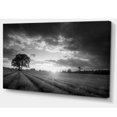 thumbnail image 2 of Vibrant Black White Lavender Field - Extra Large Landscape Canvas Art, 2 of 3