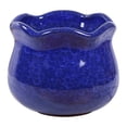 thumbnail image 3 of de grietas de de cerámica Cactus Maceta Maceta Contenedor exterior exterior exterior esmaltado suave Resistente a la corrosión Piso de piezaza Color Azul shamjiam Maceta suculenta, 3 of 8
