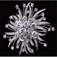 thumbnail image 1 of Unik Broche en Strass Occasions&44; 2,8 Po., 1 of 1