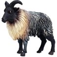 thumbnail image 1 of Figura de oveja del Himalaya simulada, realista, de plástico, animal salvaje, para uso científico y educativo., 1 of 5