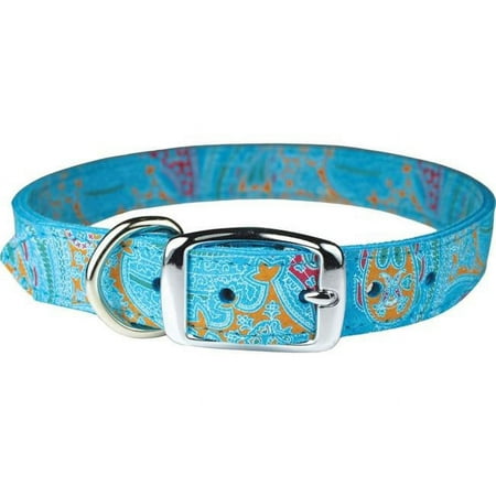 UPC: 0024764604465 | Leather Brothers 6248-TQ24 1 x 24 in. Paisley Dog Collar Turquoise