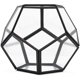 thumbnail image 2 of Terrario geométrico de mesa, 7,8 x 7,8 x 6,5 pulgadas, metal con contenedor de terrario para suculentas de vidrio, macetero de aire, joyería, decoración de boda, caja de cartón con flores, portavelas, 2 of 6