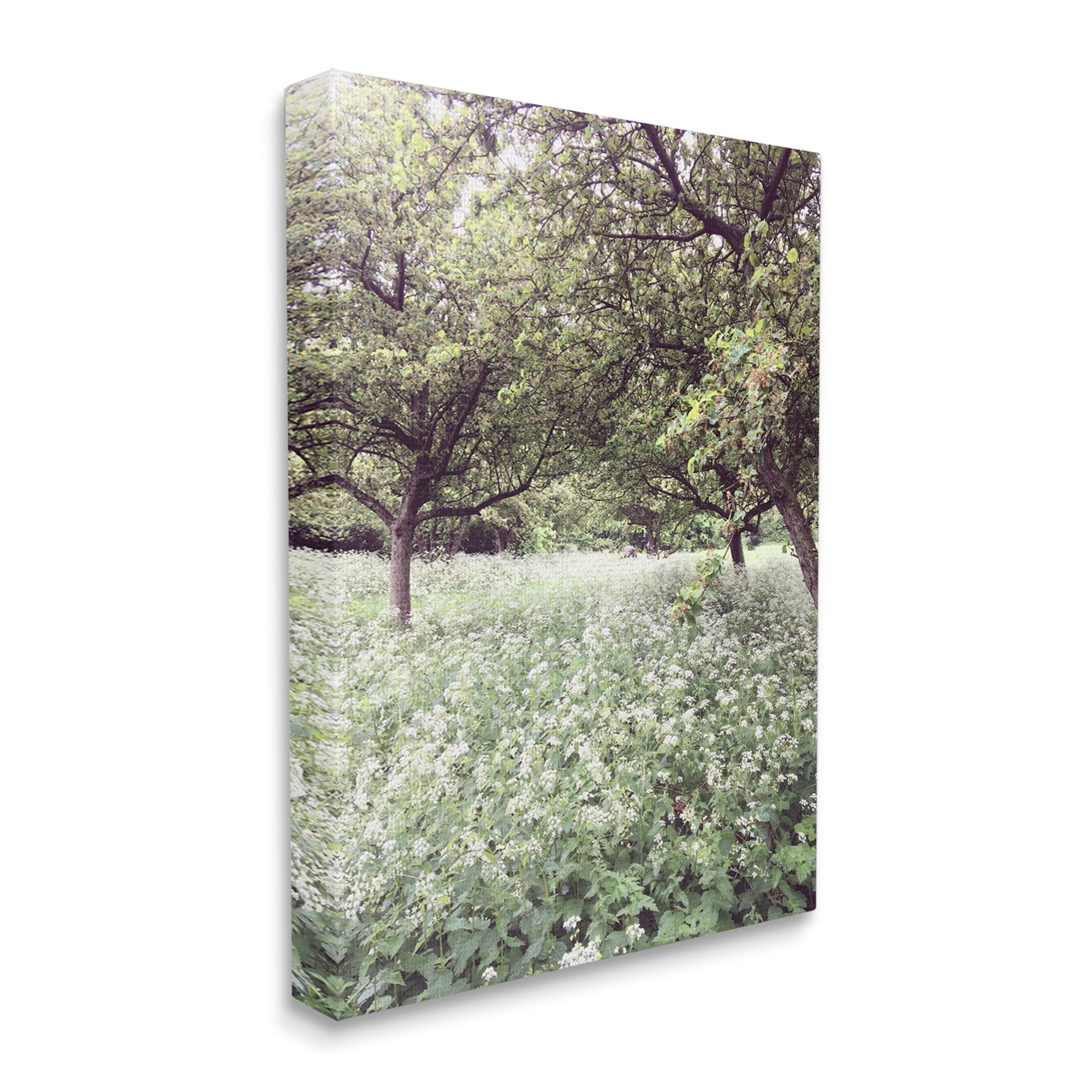 Stupell Industries Lush Meadow Trees Landscape Photography Gallery Wrapped Canvas Art Print Wall Art, 16 x 20