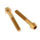 thumbnail image 4 of 2 Tornillos M6 para , Pernos, Tapa para Auriculares, de de Vástago, Reparación de Montaje en Jaula para Botella de Agua Dorado M6x30mm DYNWAVEMX Tornillo de cabeza cónica cónica M6, 4 of 6