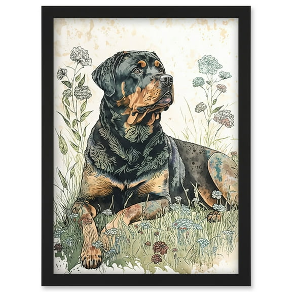 Rottweiler Dog Lying in Wildflowers Bright Watercolour Illustration Artwork Framed Wall Art Print A4