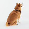 thumbnail image 2 of Easygdp Thanksgiving Turkey Dog Bandanas ,Triangle Reversible Pet Scarf Premium Durable Fabric,Bandana for Small and Medium Dogs-XX-Large, 2 of 7