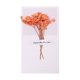 thumbnail image 1 of Tarjeta De Felicitación Con Encanto Navideño Y Flores Secas Diseño Festivo Idea Natural Para Expresar Sentimientos Navideños, 1 of 5