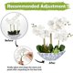thumbnail image 3 of Orquídeas Artificiales de Seda Briful Blanco con Maceta de Cerámica Azul, 3 of 7