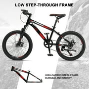 Ktaxon 20 Mountain Bike, 7 Speed Bike with Disc Brakes, Black